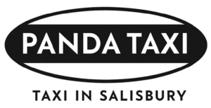 Panda-Taxi-logo